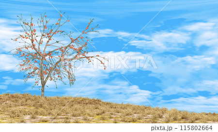 小高い丘に一本の柿の木 文字入れ用背景素材 小高い丘に一本の柿の木 文字入れ用背景素材 115802664