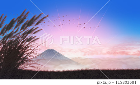 ススキが群生する夕暮れ時の風景　文字入れ用背景素材 115802681