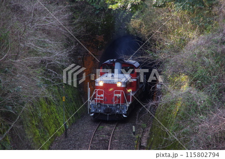 山口線 仁保駅 DD51試運転到着 山口線 仁保駅 DD51試運転到着 115802794