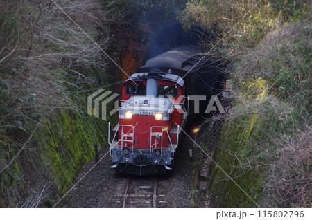 山口線 仁保駅 DD51試運転到着 山口線 仁保駅 DD51試運転到着 115802796
