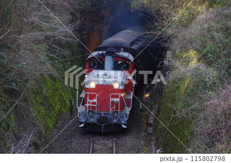 山口線 仁保駅 DD51試運転到着 山口線 仁保駅 DD51試運転到着 115802798