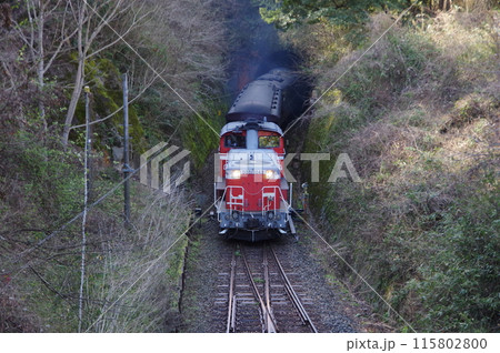 山口線 仁保駅 DD51試運転到着 山口線 仁保駅 DD51試運転到着 115802800
