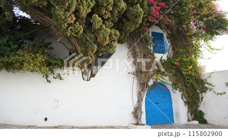 シディブサイドの景色【チュニジア】 シディブサイドの景色【チュニジア】 115802900