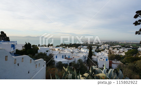シディブサイドの風景【チュニジア】 シディブサイドの風景【チュニジア】 115802922
