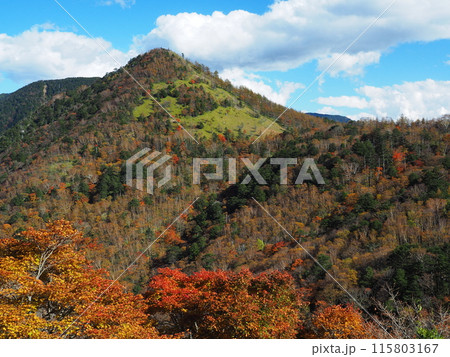 秋の奥秩父・笠取山 115803167