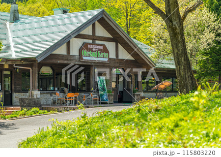 生命の宝庫！但馬高原植物園（兵庫県美方郡香美町村岡区）※作品コメント欄に撮影位置 115803220