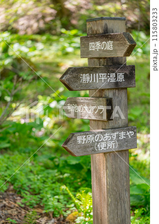 生命の宝庫!但馬高原植物園(兵庫県美方郡香美町村岡区)※作品コメント欄に撮影位置 生命の宝庫!但馬高原植物園(兵庫県美方郡香美町村岡区)※作品コメント欄に撮影位置 115803233
