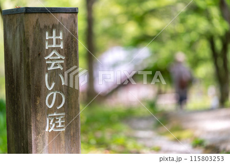 生命の宝庫！但馬高原植物園（兵庫県美方郡香美町村岡区）※作品コメント欄に撮影位置 115803253