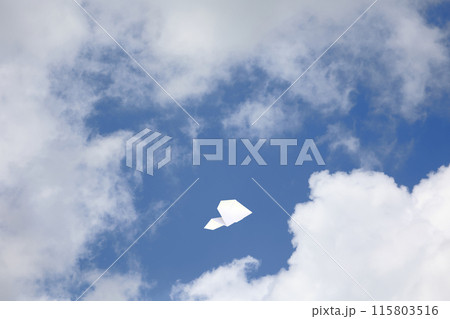 大空を飛ぶ紙飛行機 115803516