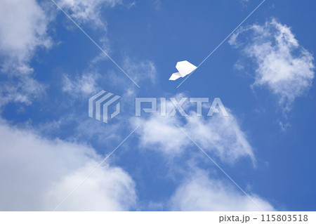 大空を飛ぶ紙飛行機 115803518