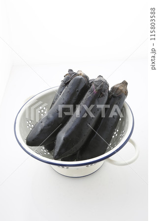 長茄子 115803588