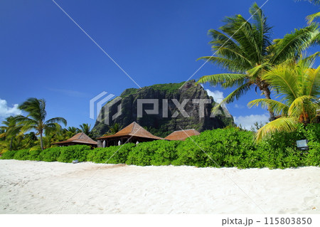 「インド洋の貴婦人」島国モーリシャス リゾート地ブラバン半島のビーチから世界遺産ルモーン山の景色 「インド洋の貴婦人」島国モーリシャス リゾート地ブラバン半島のビーチから世界遺産ルモーン山の景色 115803850