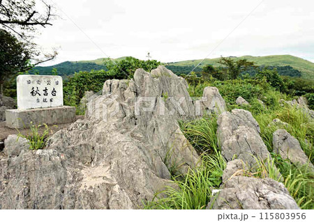 秋吉台 秋吉台 115803956