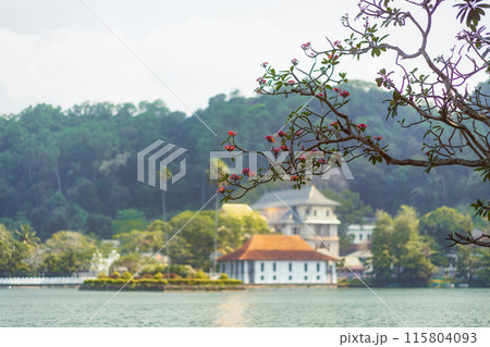 Defocused View Of Sacred Tooth Relic Temple Across Kandy Lake, Sri Lanka 115804093