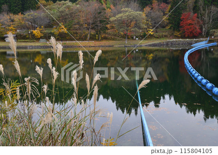 沼沢湖へ行きました　＃12 115804105