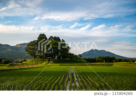 爽やかな初夏の阿蘇to草原の風景 爽やかな初夏の阿蘇to草原の風景 115804260