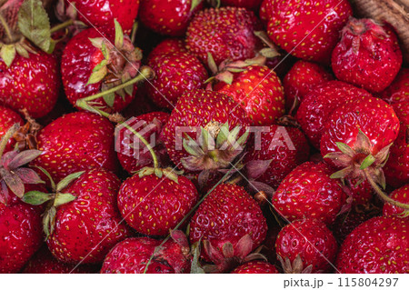 ripe sweet strawberries in wooden wicker box on table top background 115804297