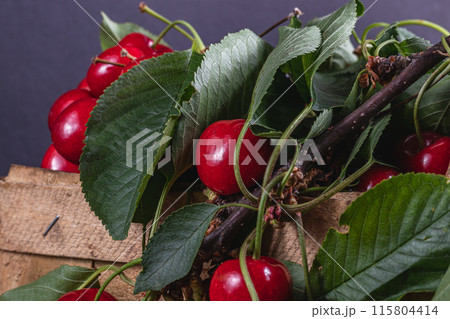 ripe cherries in a box on the table close up 115804414