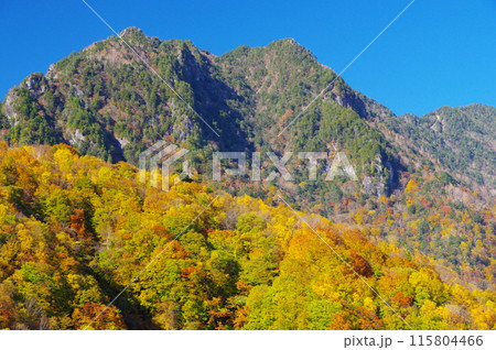 西沢渓谷から望む秋の奥秩父・鶏冠山 西沢渓谷から望む秋の奥秩父・鶏冠山 115804466