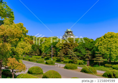 大阪府　大阪市　大阪城公園の中にある大阪城 115804599