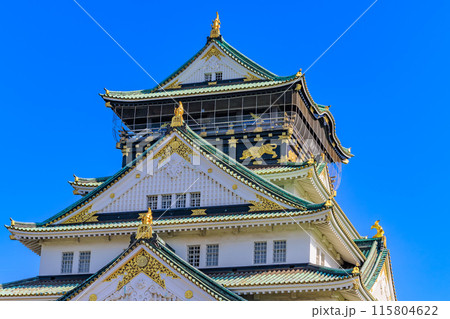 大阪府 大阪市 大阪城公園の中にある大阪城 大阪府 大阪市 大阪城公園の中にある大阪城 115804622