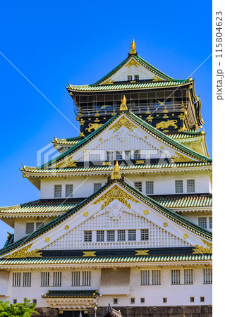 大阪府 大阪市 大阪城公園の中にある大阪城 大阪府 大阪市 大阪城公園の中にある大阪城 115804623