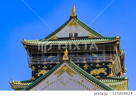 大阪府 大阪市 大阪城公園の中にある大阪城 大阪府 大阪市 大阪城公園の中にある大阪城 115804624