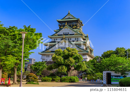 大阪府　大阪市　大阪城公園の中にある大阪城 115804631