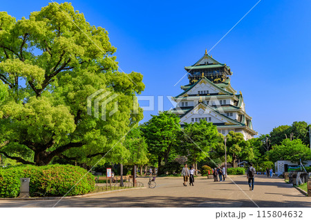 大阪府 大阪市 大阪城公園の中にある大阪城 大阪府 大阪市 大阪城公園の中にある大阪城 115804632