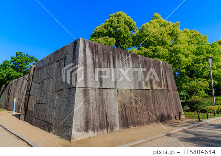 大阪府　大阪市　大阪城公園の中にある巨石（蛸石） 115804634