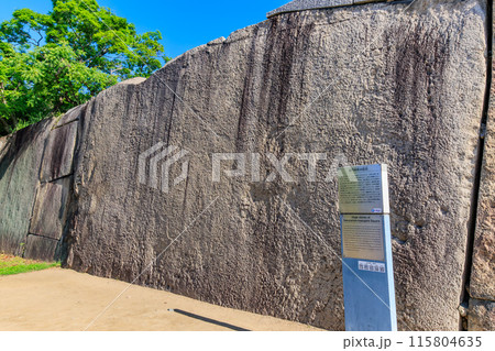 大阪府　大阪市　大阪城公園の中にある巨石（蛸石） 115804635