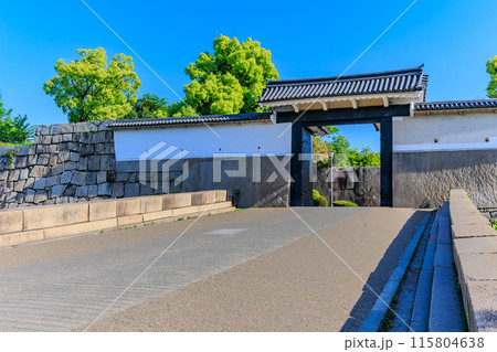 大阪府　大阪市　大阪城公園の中にある大阪城と桜門 115804638