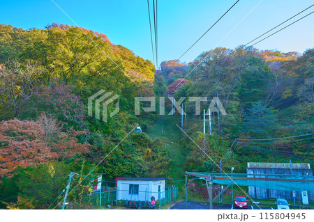 秋の群馬県渋川市伊香保町の伊香保ロープウェイ不如帰駅(ホトトギス駅)付近から山頂(見晴駅)方面を見る 秋の群馬県渋川市伊香保町の伊香保ロープウェイ不如帰駅(ホトトギス駅)付近から山頂(見晴駅)方面を見る 115804945