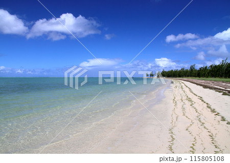 インド洋の貴婦人モーリシャス　世界文化遺産ルモーン山の麓のリゾート地ブラバン半島のビーチと青い海 115805108