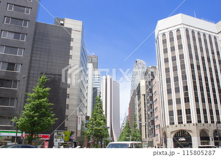 新宿西口のビル群 115805287