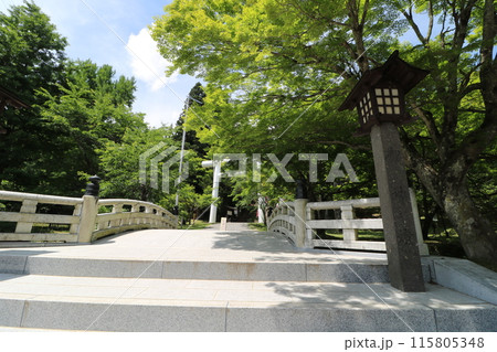 新緑の福島県猪苗代町の土津神社 115805348