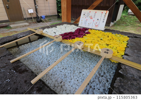 新緑の福島県猪苗代町の土津神社 115805363