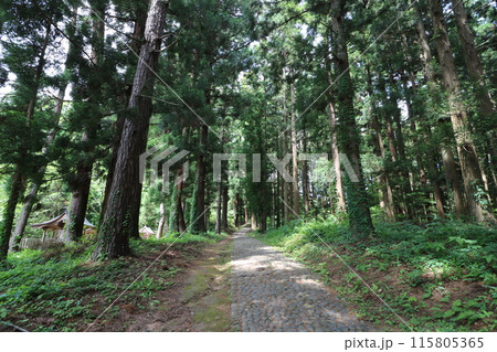 新緑の福島県猪苗代町の土津神社 新緑の福島県猪苗代町の土津神社 115805365