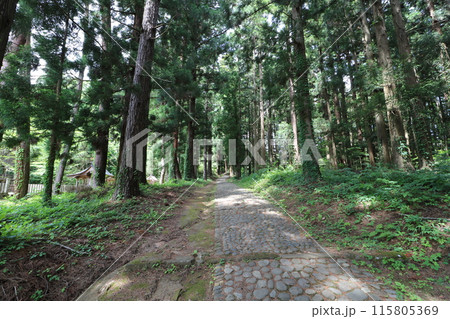 新緑の福島県猪苗代町の土津神社 新緑の福島県猪苗代町の土津神社 115805369