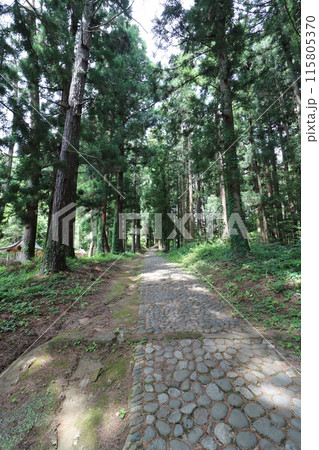 新緑の福島県猪苗代町の土津神社 115805370