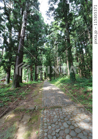 新緑の福島県猪苗代町の土津神社 115805371
