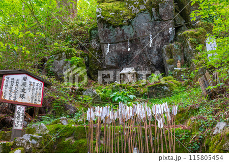 花の名山と自然豊かな金剛山の名所、岩屋文殊(奈良県御所市高天)※作品コメント欄に撮影位置 花の名山と自然豊かな金剛山の名所、岩屋文殊(奈良県御所市高天)※作品コメント欄に撮影位置 115805454