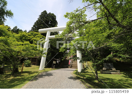 新緑の福島県猪苗代町の土津神社 新緑の福島県猪苗代町の土津神社 115805459