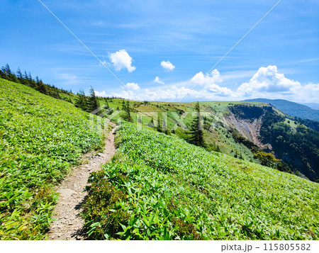 美ヶ原トレッキング：アルプス展望コース 115805582