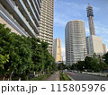 立ち並ぶビル群 115805976