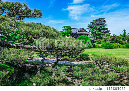 讃岐　香川県　栗林公園　商工奨励館と庭園の緑 115805985