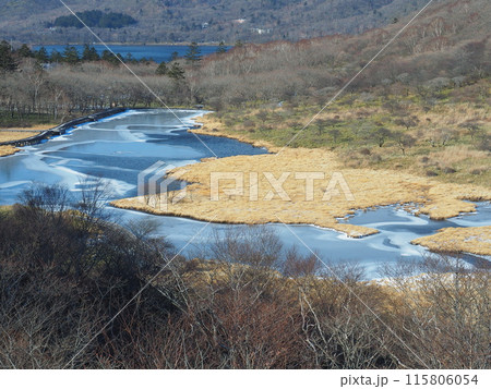 初冬の赤城山覚満淵 初冬の赤城山覚満淵 115806054
