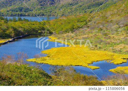 秋の赤城山覚満淵 秋の赤城山覚満淵 115806056