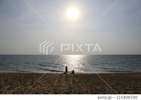 南国タイのプーケットの海岸 南国タイのプーケットの海岸 115806580