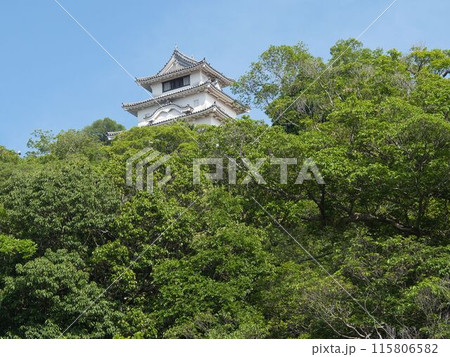 緑に隠れた天守閣 115806582